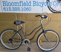 Autobike cruiser rebuild FREE BIKE* small, USED