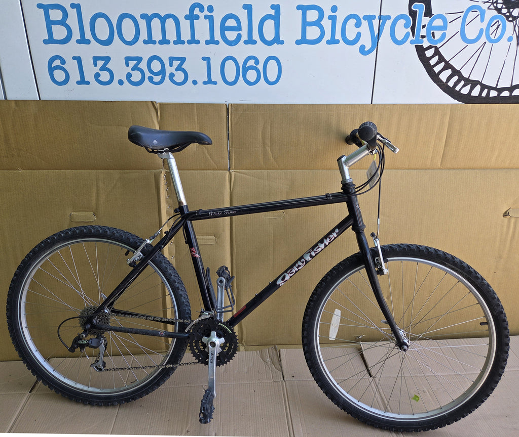90s Gary Fisher GItche Gumee 26” mtb USED consignment