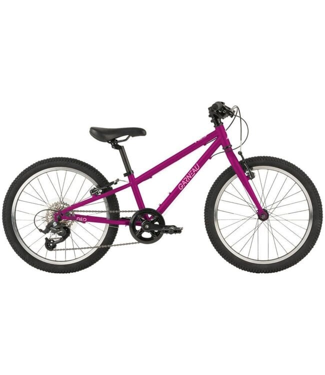 Garneau 20”  Neo 207 Kids Bicycle - sea raspberry