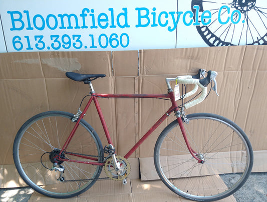 OLMO all road 56cm conversion