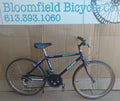 Raleigh Purple Haze 24” kids' bike 10spd, USED, no tax, no warranty