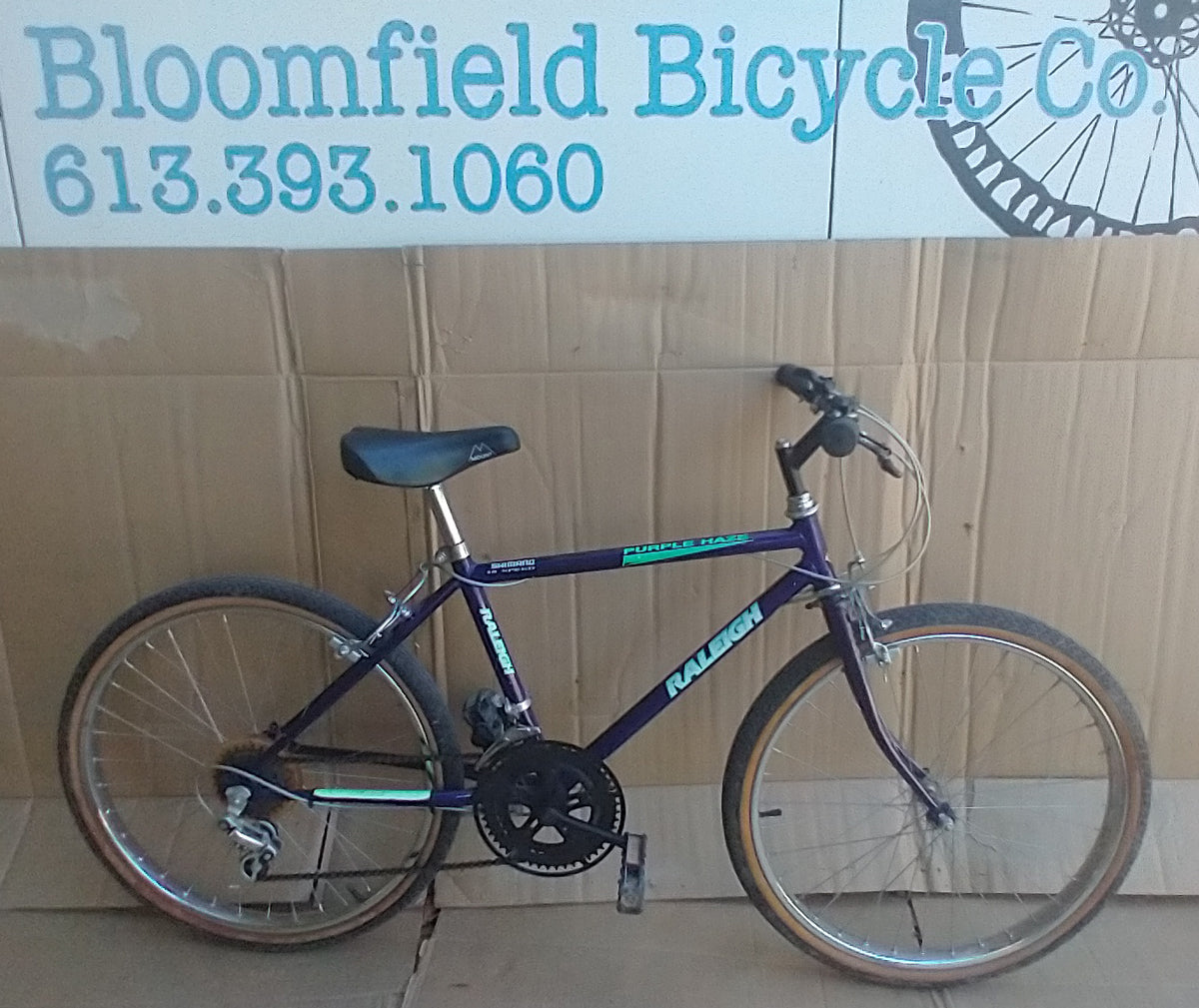 Raleigh Purple Haze 24” kids' bike 10spd, USED, no tax, no warranty