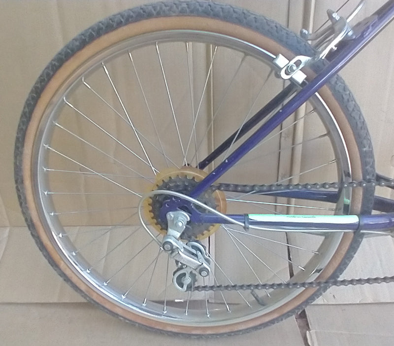 Raleigh Purple Haze 24” kids' bike 10spd, USED, no tax, no warranty