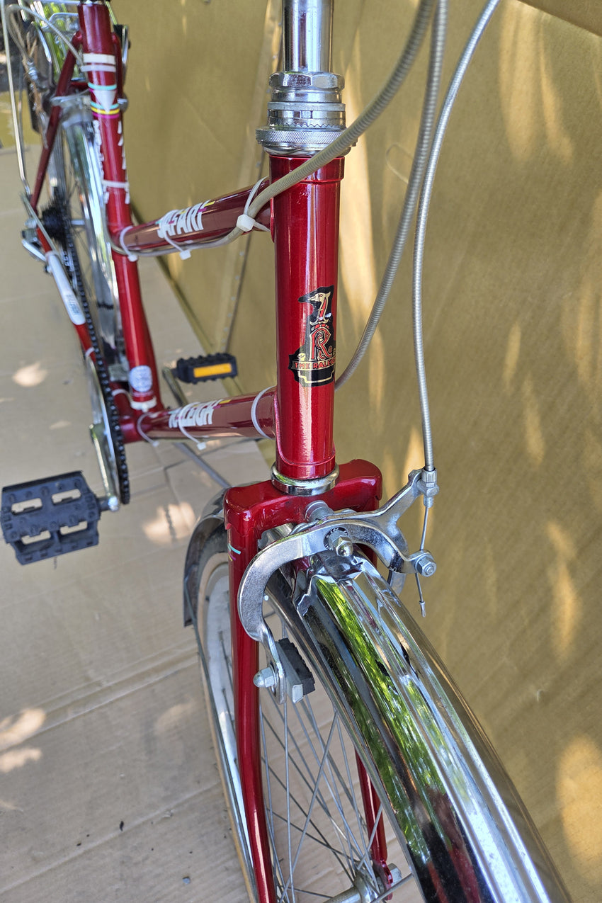 Raleigh Safari Ladies 6spd mtb USED consignment NO TAX, no warranty
