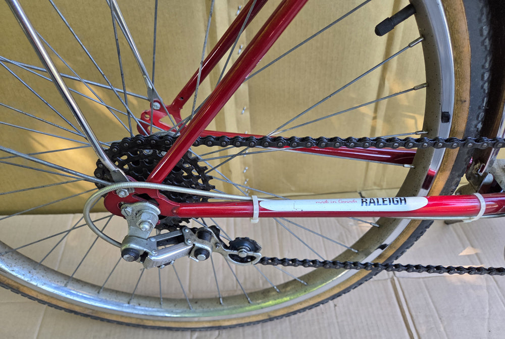 Raleigh Safari Ladies 6spd mtb USED consignment NO TAX, no warranty