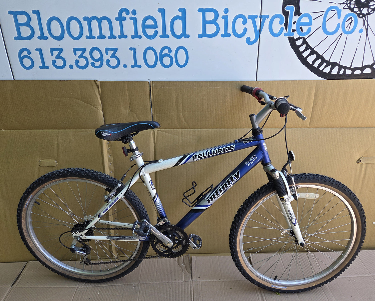 Infinity Telluride MTB 18” USED