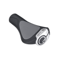 Ergon GC-1 grips